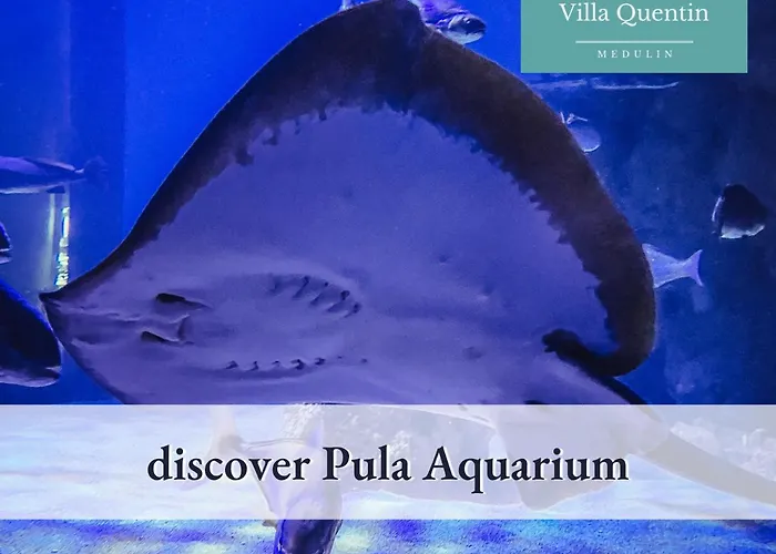 Quentin - Quiet Place Close To Semesterbostad