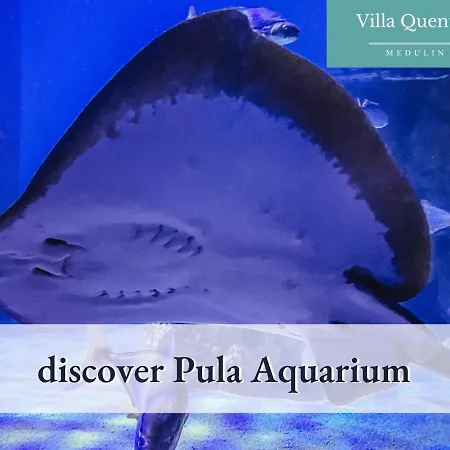 Quentin - Quiet Place Close To Nyaraló